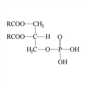 Fosfolipid Kedelai Modifield