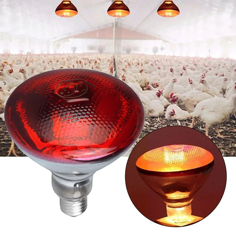 product-800-800